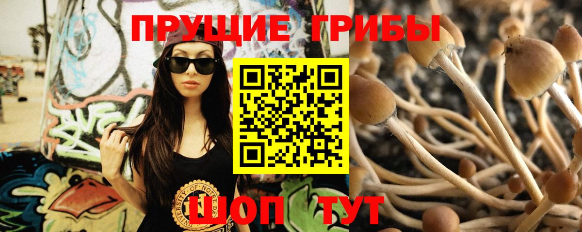 Искитим  Галлюциногенные грибы ЛСД  Вход с VPN  Галлюциногенные грибы Psilocybe 